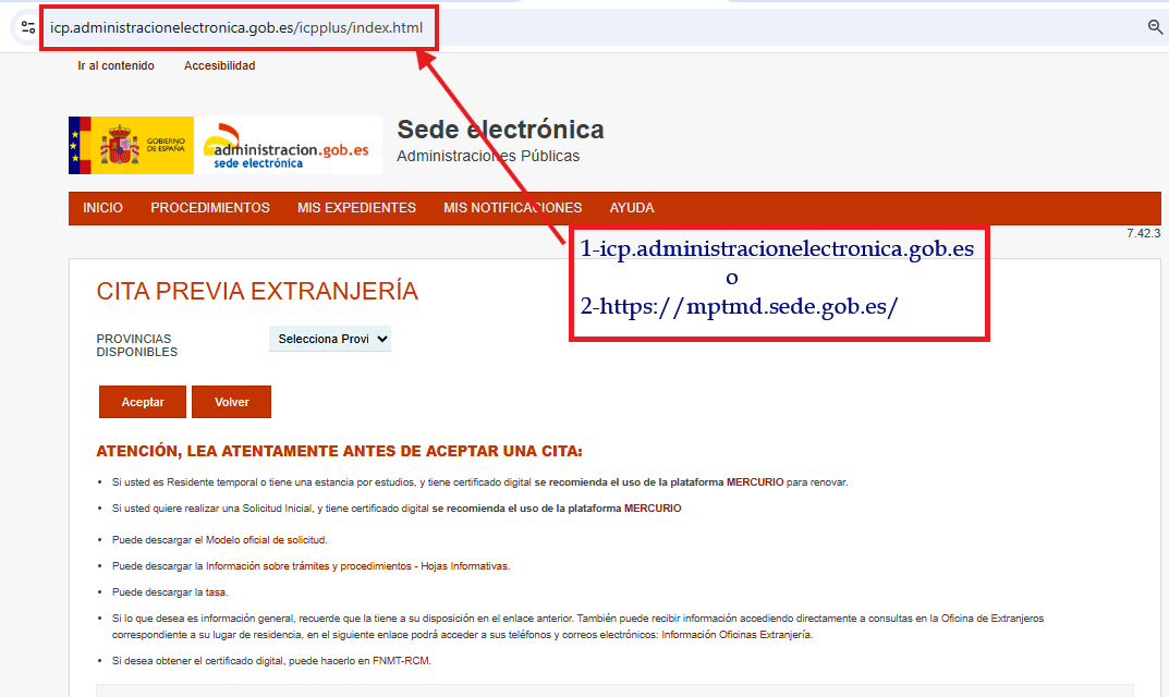 Paso 1: Acceso al portal oficial