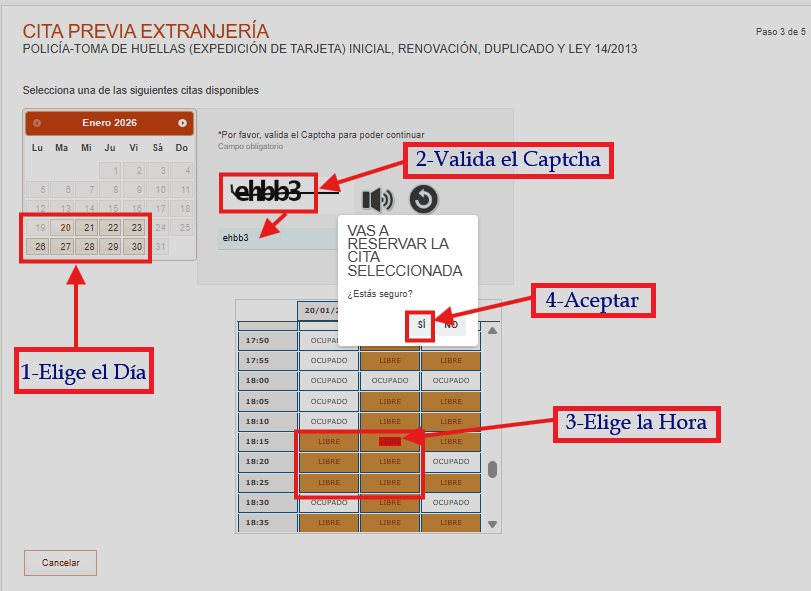 Paso 11: Comprobante final